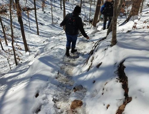 Winter Hiking in the Ozarks